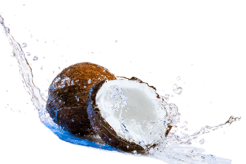 Coconut Png Background Images Hd DownloadMTC
